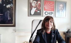 Çetin: "Sağlık müdürlüğüne Sakarya'da sahte kanser ilacı satıldı mı?"