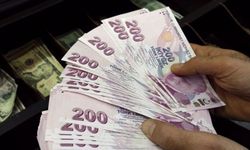 %30 Zam Sonrası Memurun 3 Ayda Bir Alacağı Sendika Parası Belli Oldu