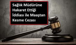 Danıştay Sağlık Müdürüne Hakarete Verilen Cezayı İptal Etti