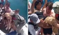 Amerikalı Hemşire Köpekbalığı Saldırısından Kurtuldu
