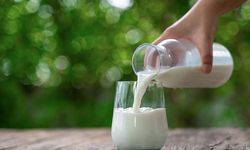 Çiğ süte yüzde 35 zam