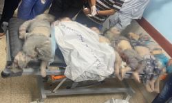 Filistinli doktor çocukların cenazesi önünde isyan etti