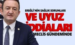 Ereğli'nin sağlık sorunları Meclis gündeminde