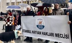 Yaşam hakkı savunucularından Sağlık Bakanlığı'na: Tarihi bir hatadır