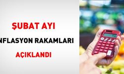 Şubat ayı enflasyon rakamları açıklandı