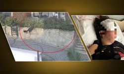 Komşu Kavgası: Doktor, kadını 1,5 metre yükseklikten aşağı itti!