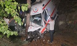 Ambulans kamyonetle çarpışıp bahçeye uçtu: 1 ölü, 5 yaralı