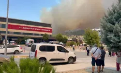Çanakkale'de orman yangını! Alevler hastaneye yaklaştı