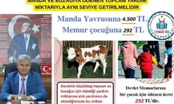 Emir Kazak: Memuurn çocuğuna 292 TL, manda yavrusuna 4500 TL