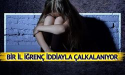 Kendisi de kız çocuğu evlat edinmiş!  Genç kızı taciz eden müdür hakkında şok detay
