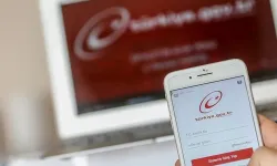 Milyonlarca kişiyi ilgilendiriyor! e-Devlet'e 4 yeni hizmet