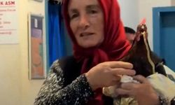 Tavuğunu röntgen çektirmek için hastaneye getirdi