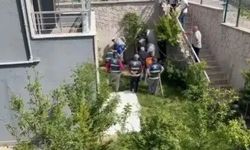 Ankara'da sahiplendiği köpekleri öldürdüğü iddia edilen cani doktor hakkında mütalaa bekleniyor