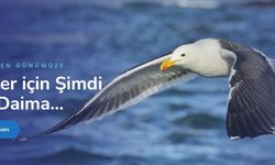 Sosyal Medya Hesaplarımı Nasıl Büyütürüm?