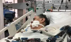 Ankara ve Bolu’da da görüldü: Tedavisi yok