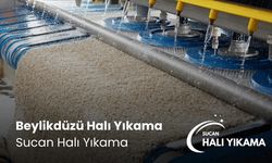 Beylikdüzü Halı Yıkama Süreciyle Mükemmel Temizlik Deneyimi