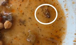 Hastanede 'böcekli yemek' iddiası