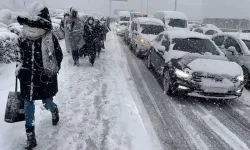 Kara kış 'La Nina' ile kapıyı çalacak! 39 ilimize birden kar geliyor