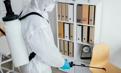 Evde Fare İlaçlama: Zararlıları Engellemenin Basit Yolları