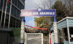 Sağlık-Sen Anaokulu Sağlık Profesyonellerinden Tam Not Aldı