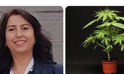 Kanser açıklaması büyük ilgi toplayan Prof. Dilek İnan profesör değil mi?