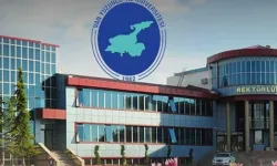 Van Yüzüncü Yıl Üniversitesi Sağlık Personeli Alım İlanı