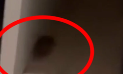 Eğitim ve Araştırma Hastanesi’nde Fare Görüldü İddiası