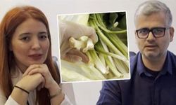 Pazardan pazı diye aldılar... Doktor çift kabusu yaşadı!