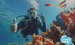 Dalisdukkani ile Dalış Tutkunlarının Güvenli Limanı