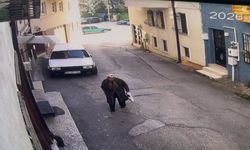 Alkollü hemşire direksiyon başında ölüme sebep oldu