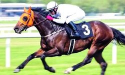 Şampiyon at nasıl kavurma oldu? İşte ihanet zinciri!