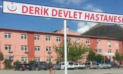 Başhekim ve sekreterini darbeden şüpheliye ev hapsi