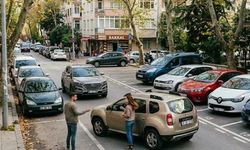Aracınızı Gölge İçin Bu 3 Ağacın Altına Park Etmeyin