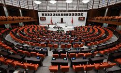 Doğum İzni 10 Güne Çıkarıldı, Çocuk Güvenliği İçin Sıkı Tedbirler Alındı