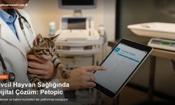 Evcil Hayvan Sahiplenmede Güvenli Dijital Dönem Petopic ile Başladı