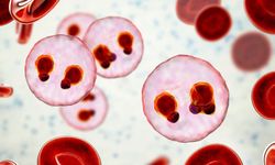 EKMUD: Sıtma Hala Yüzbinlerce Can Alıyor - Dünya Sıtma Günü'nde Uyarı