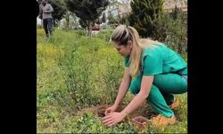 Mut'ta Hastane Bahçesi 150 Fidanla Yeşillendi: Çevre ve Sağlık İçin İş Birliği