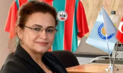 Suriye'den gelen mermi Mardin'de Uzman Doktora İsabet Etti