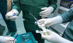 Rekabet Kurumundan ortopedi ve beyin cerrahisi sektörüne soruşturma