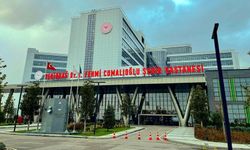 Tekirdağ'da Çocuk İmmünoloji Uzmanı Darbedildi: Sağlıkta Şiddet Endişesi