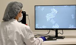 Türkiye'de Kan Kanseri Tedavisinde Çığır Açan Gelişme: Yerli CAR-T Hücre Tedavisi Uygulamaları Başladı