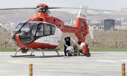 Ambulans Helikopter Pistinde Kangal Köpeğine Pansuman: Sağlık Ekibinden Sıra Dışı Müdahale