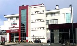 Kestiği Ağacın Altında Kalan İşçi Hayatını Kaybetti