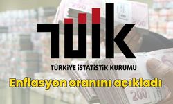 TÜİK Mayıs Enflasyonu: Maaşlardaki Kayıp ve Harcama Gruplarındaki Artış Detaylandı