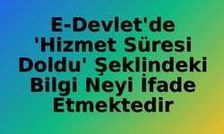 E-Devlet'te 'Hizmet Süresi Doldu' Uyarısı Ne Anlama Geliyor? Memur Emekliliğinde 25 Yıl Şartı