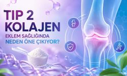 Tip 2 Kolajen Eklem Sağlığında Neden Öne Çıkıyor?