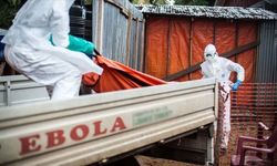 DSÖ Alarmı: Demokratik Kongo'da Ebola Salgını Yeni Bölgelere Sıçrıyor, Ölüm Oranı Yüzde 48'i Geçti