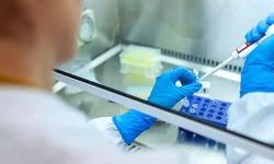 2026/2 TUS Ortalama Puanları: Dermatoloji Zirvede, Acil Tıp Son Sırada