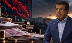 Zeybekçi: 6 kamu kurumunda ihmal, bazılarında suistimal var