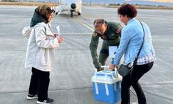 Karaciğer grefti ambulans uçakla Erzurum'dan Antalya'ya ulaştırıldı